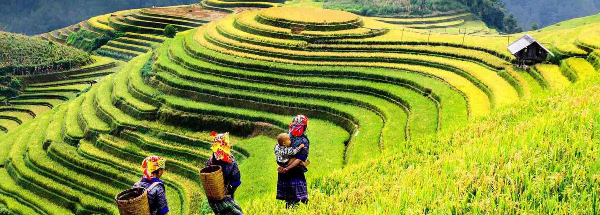 Seguro de viagem para o Camboja Seguro de viagem para o Camboja