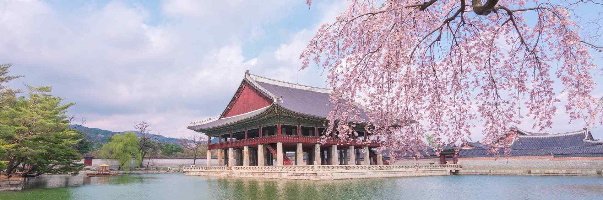 Seguro de viaje a Corea del Sur Seguro de viaje a Corea del Sur