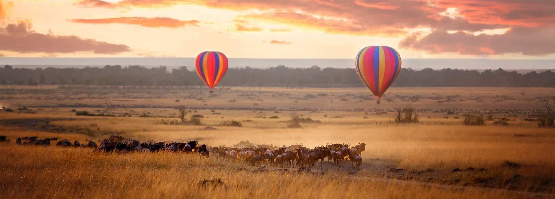 Seguro de viagem para o Quénia Seguro de viagem para o Quénia