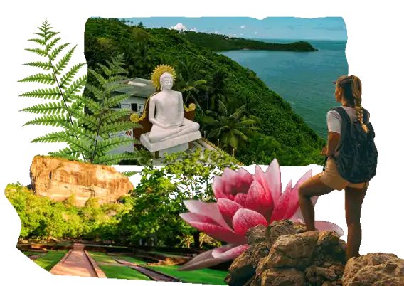 Sabia que em Sri Lanka Sabia que em Sri Lanka