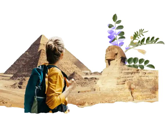 Seguro de viagem para o Egito Seguro de viagem para o Egito